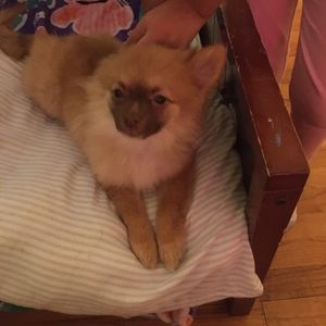 Meet your Posher, Juan carlos